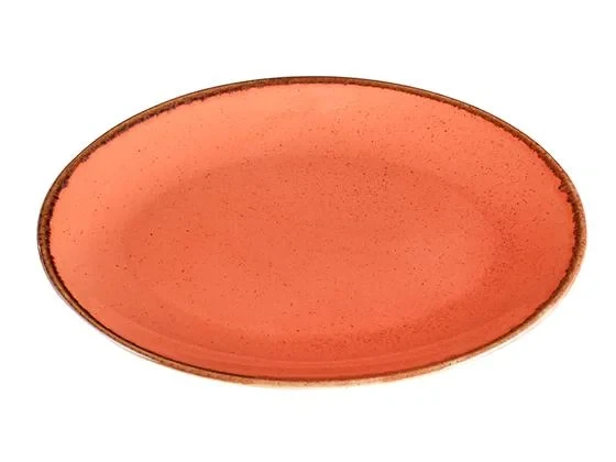 Блюдо овальное 310х240 мм Seasons Beige Porland 04ALM001397