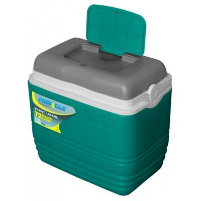 Изотермический контейнер Eskimo Primero 32л Pinnacle 8906053369700TURQUOISE