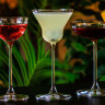 Бокал для коктейлей Bespoke Martini 180 мл Libbey (ONIS) 440119