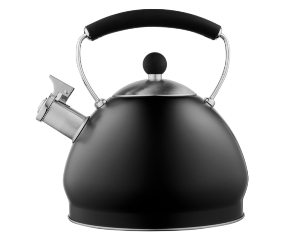 Чайник Black Mars 3л Ardesto AR0748KS